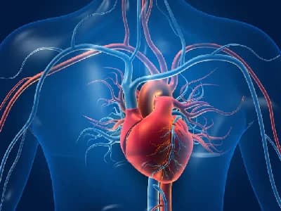 Cardiac Surgery — Heart & blood vessels