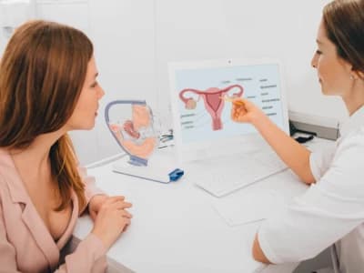 Gynaecology Surgery — Women's surgical care